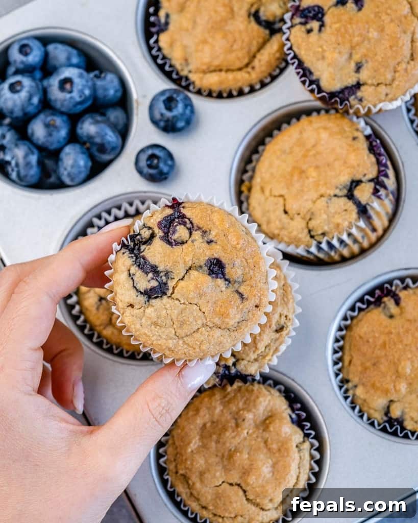 A hand gently holding a single, warm blueberry muffin.