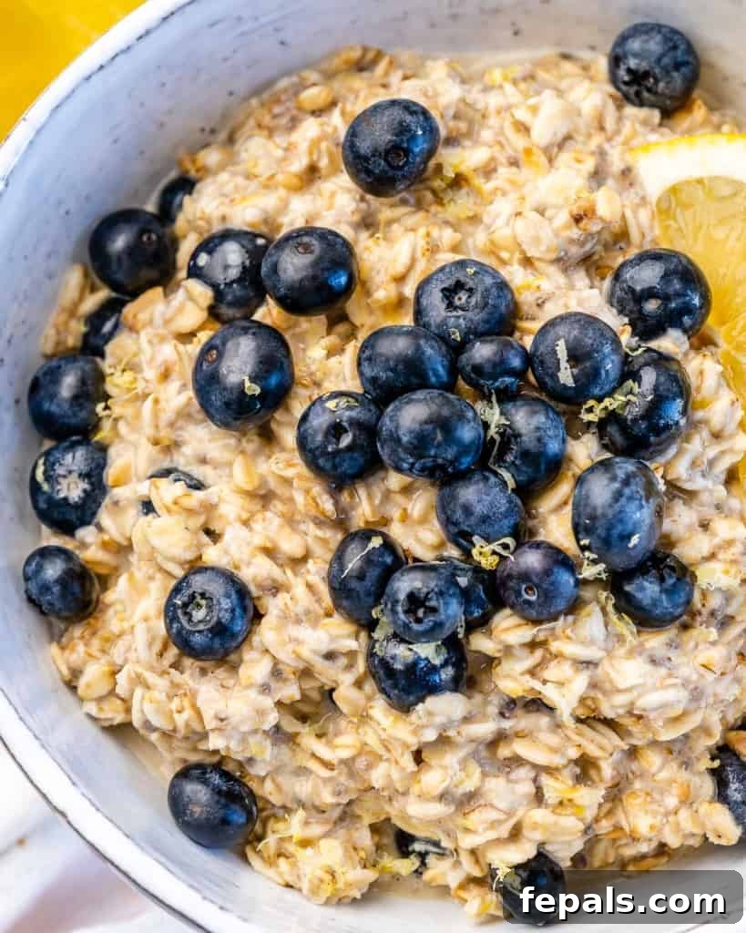 Berry Bliss Overnight Oats 3 A close-up shot of a bowl filled with luscious overnight oats, generously topped with fresh blueberries and a slice of bright lemon.