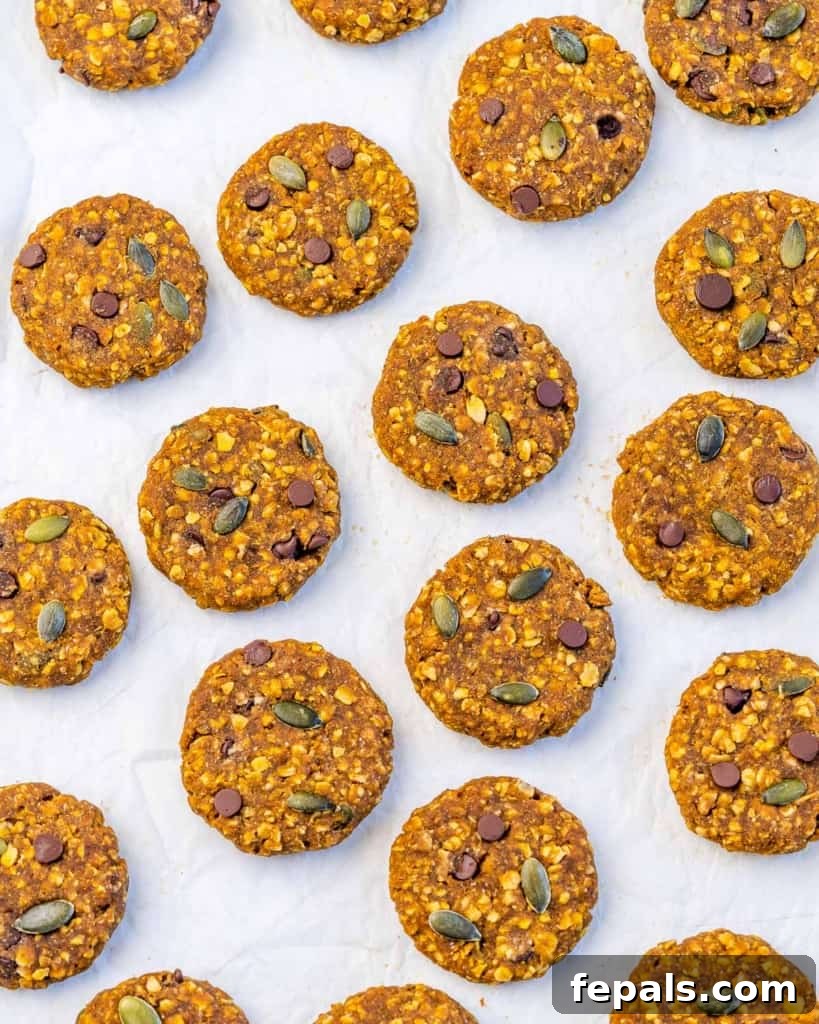 Spiced Pumpkin Oat Delights 10 Top view of delicious oatmeal cookies laid flat on parchment paper, showcasing their inviting texture