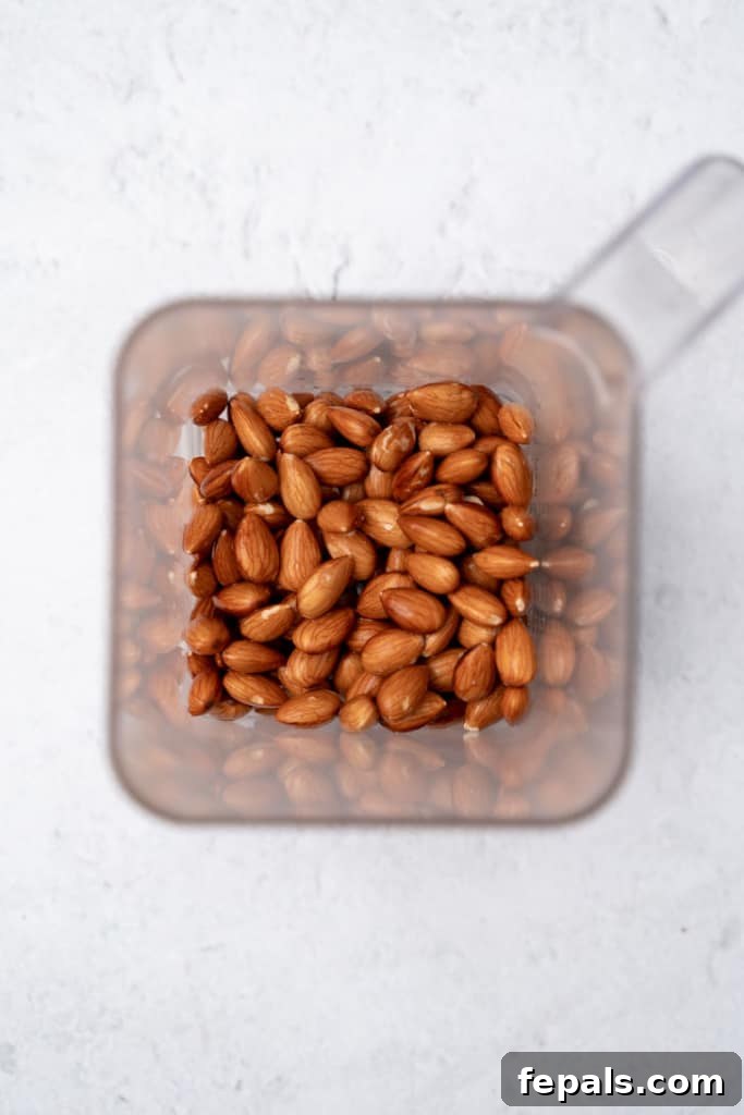 almonds in blender