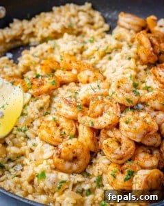 close up view of shrimp risotto in a pan