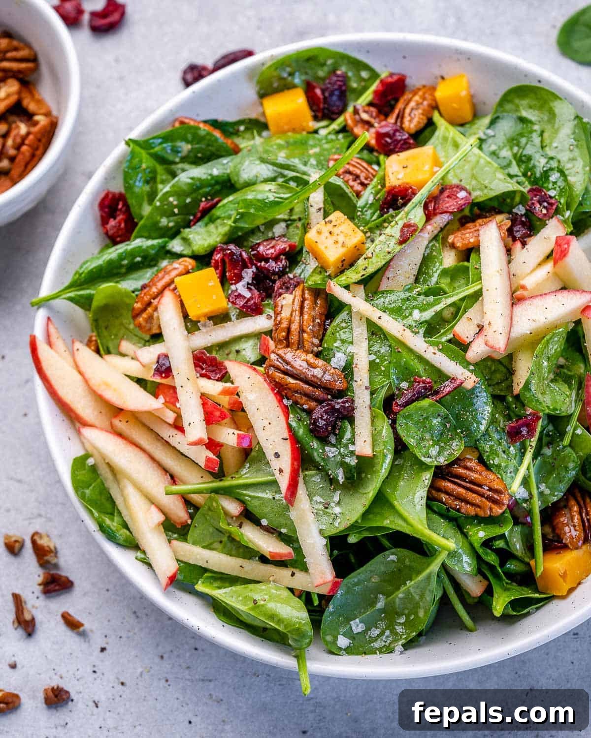A pristine white bowl showcasing the perfectly dressed Apple Pecan Salad with homemade maple vinaigrette, ready to be enjoyed.