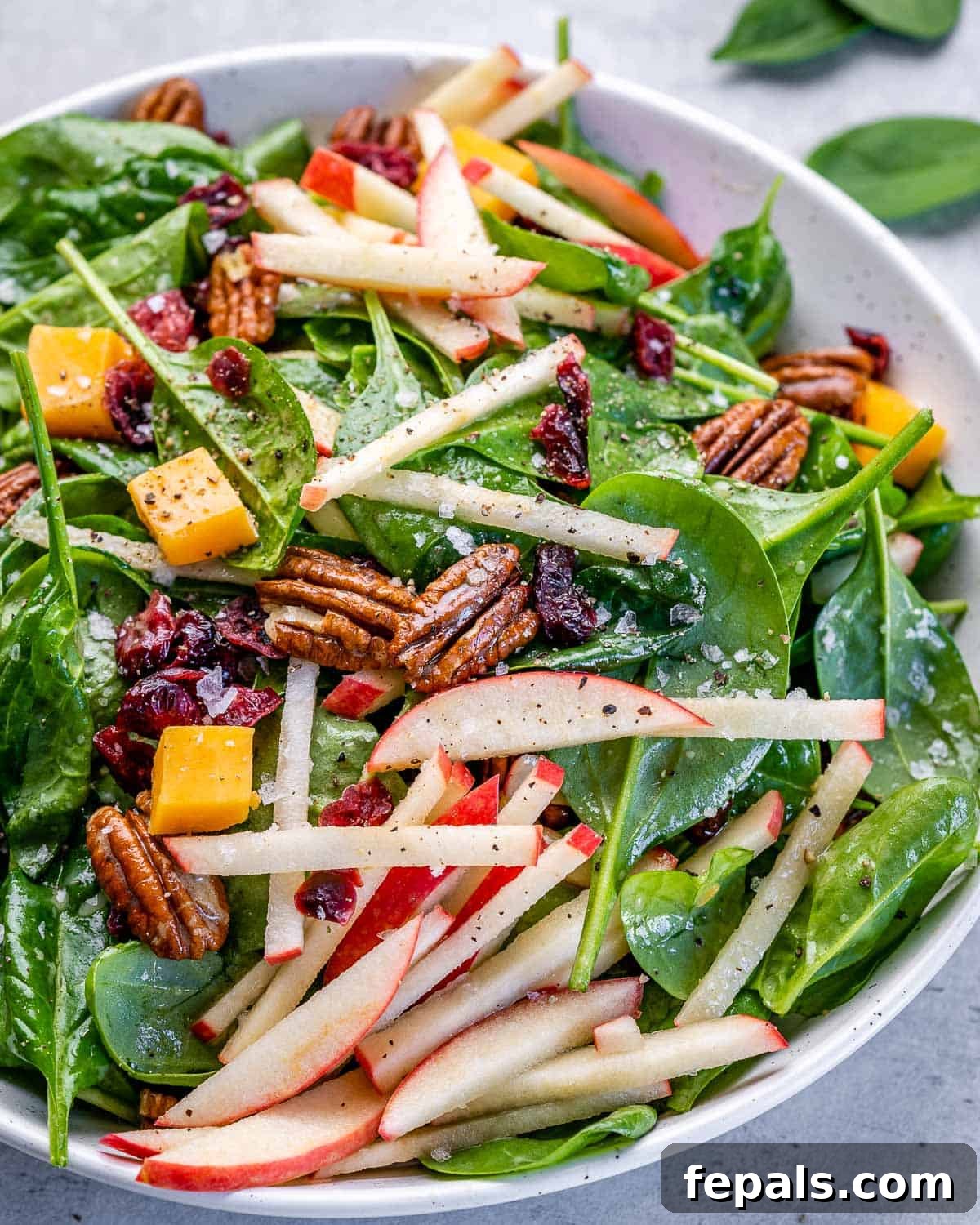 A close-up view of the Apple Pecan Salad featuring vibrant cheddar cheese cubes, juicy cranberries, and a glistening maple vinaigrette.