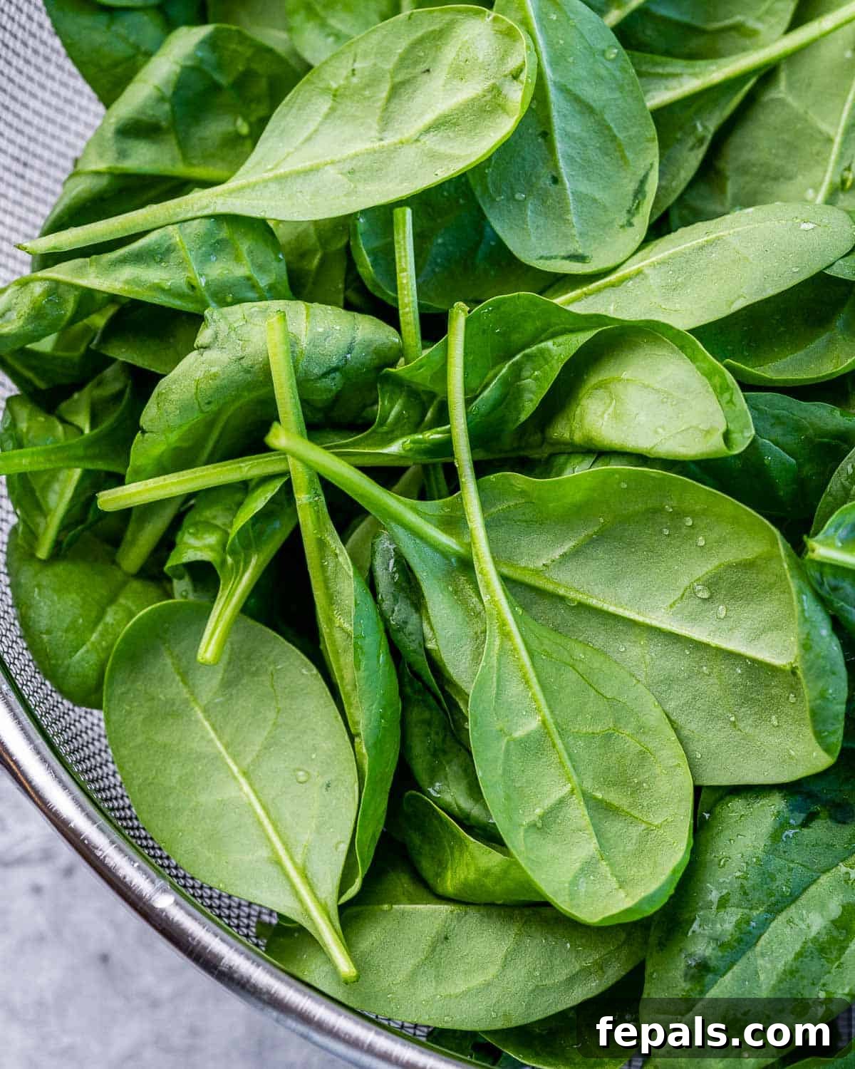 A bowl of freshly rinsed, vibrant green spinach leaves, ready for salad preparation.