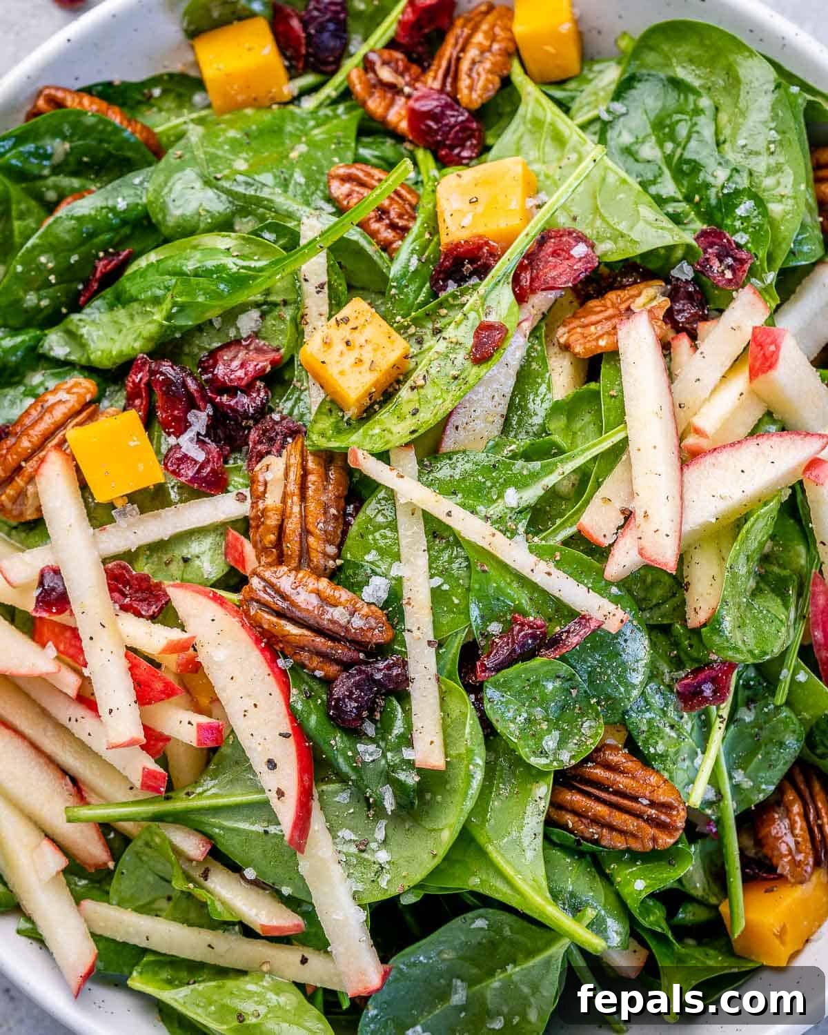 Overhead shot of a vibrant spinach salad topped with crunchy pecans and sweet dried cranberries, showcasing the rich textures.