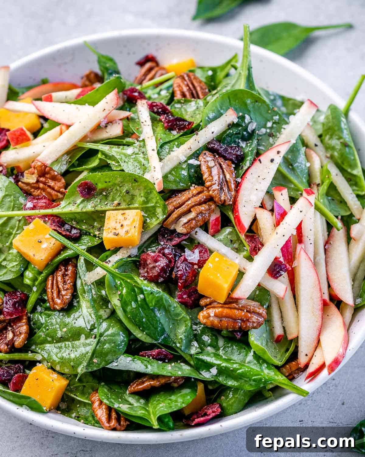 One large white bowl filled generously with Apple Pecan Salad, highlighting the mix of cheddar cheese cubes, spinach, and apples.