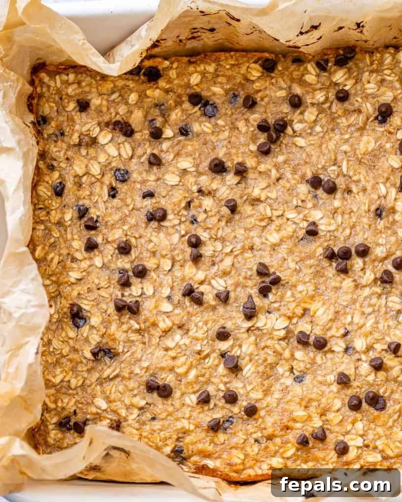 A freshly baked pan of chocolate chip oatmeal bars, golden brown and inviting.