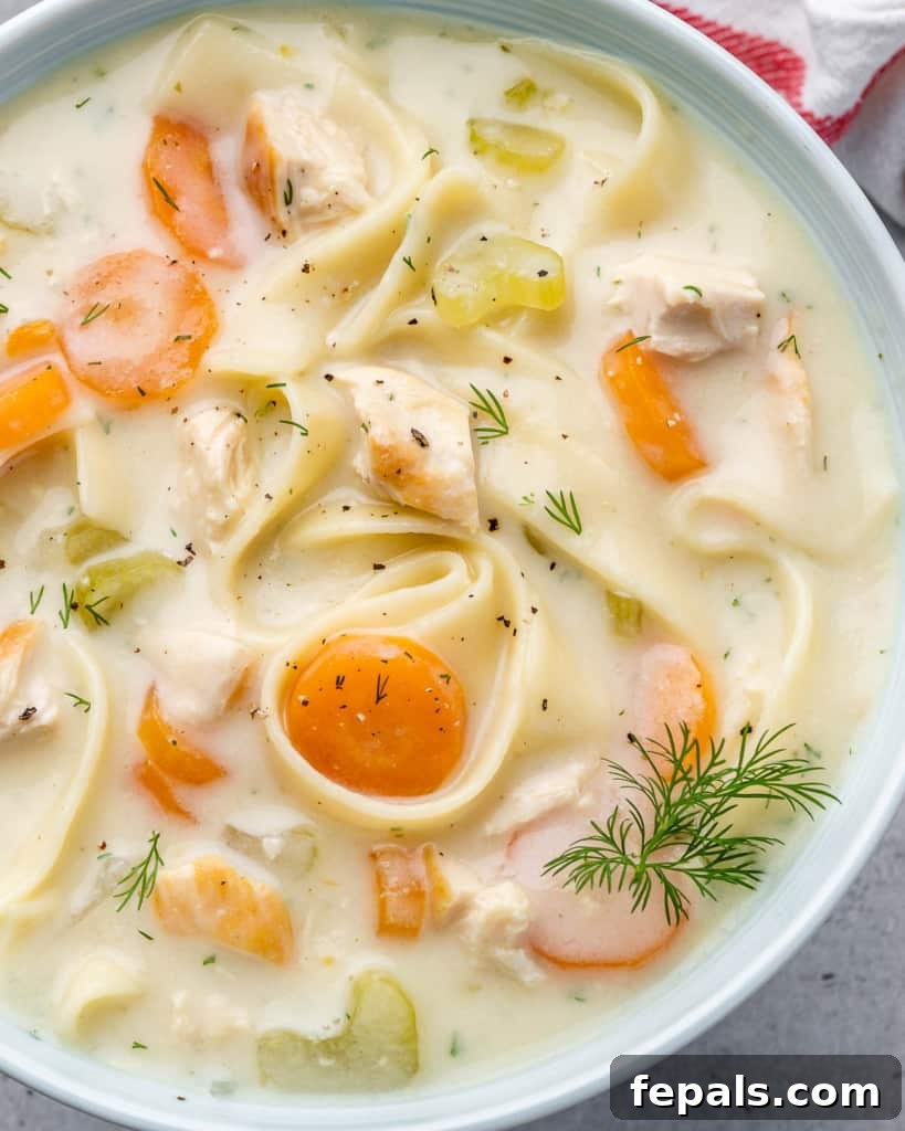 top view close up chicken noodle soup recipe in a white bowl