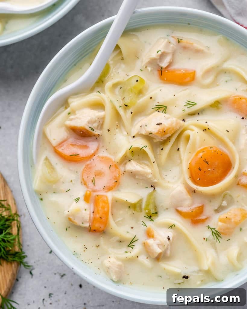 tope view of chicken noodle soup in a white bowl