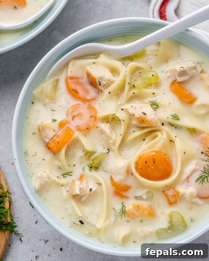 top view creamy chicken noodle soup in a white bowl