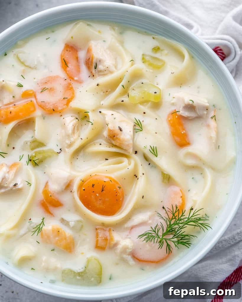top view of creamy chicken soup in a white bowl with dill garnishes