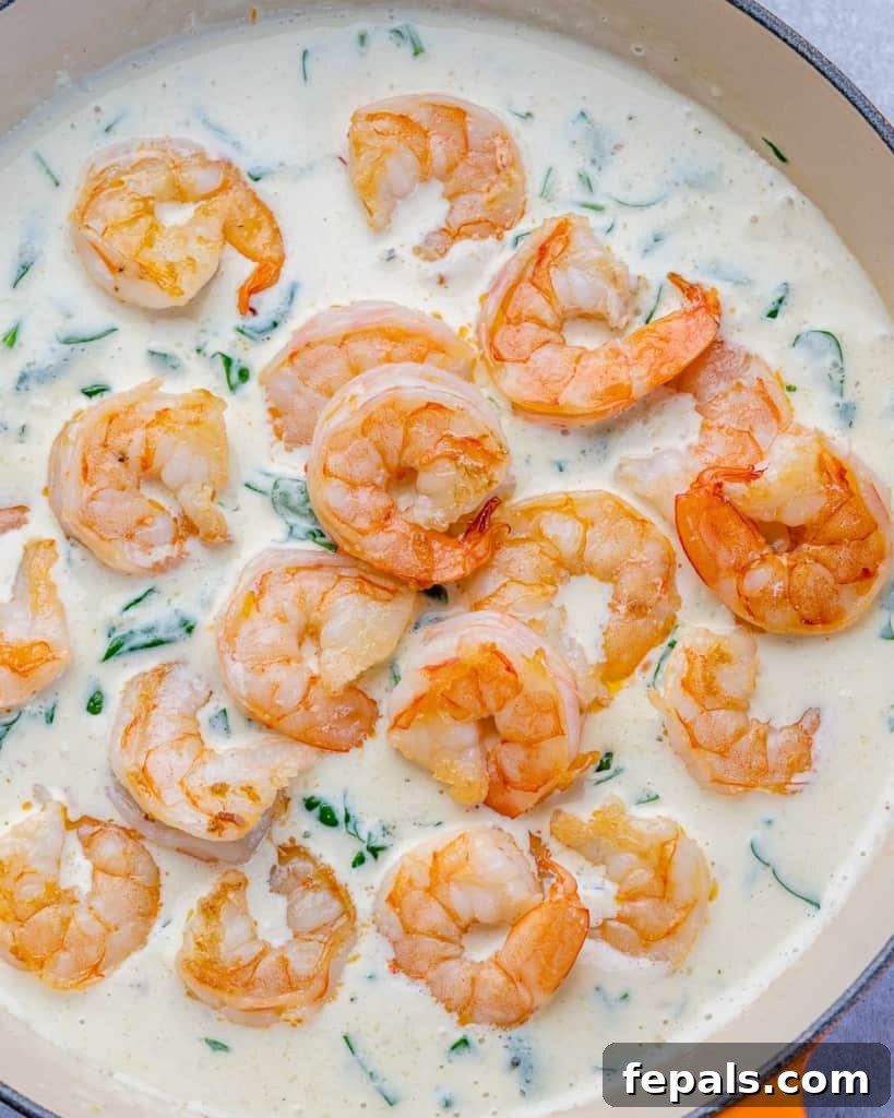 Top view of sauteed shrimp in a creamy sauce, elegantly presented.