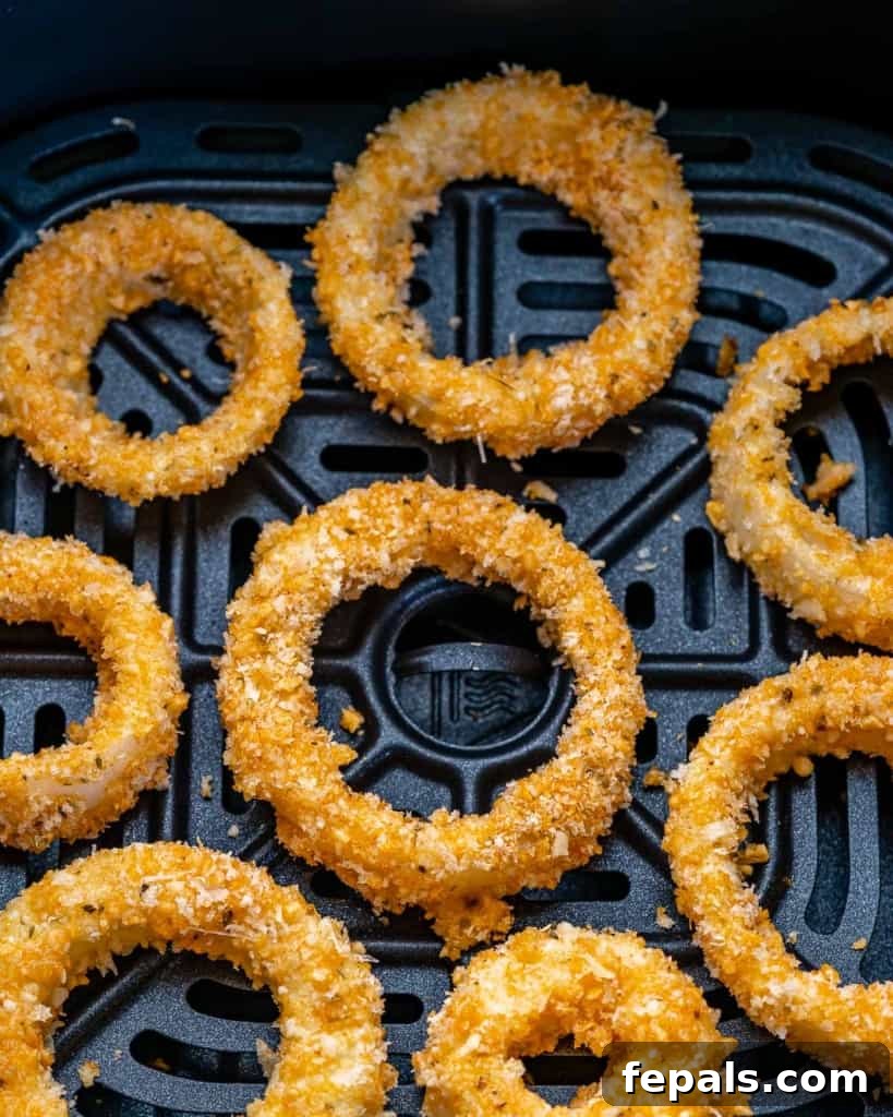 onion rings in the air fryer