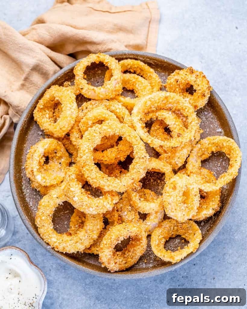 onions rings on a brown plate