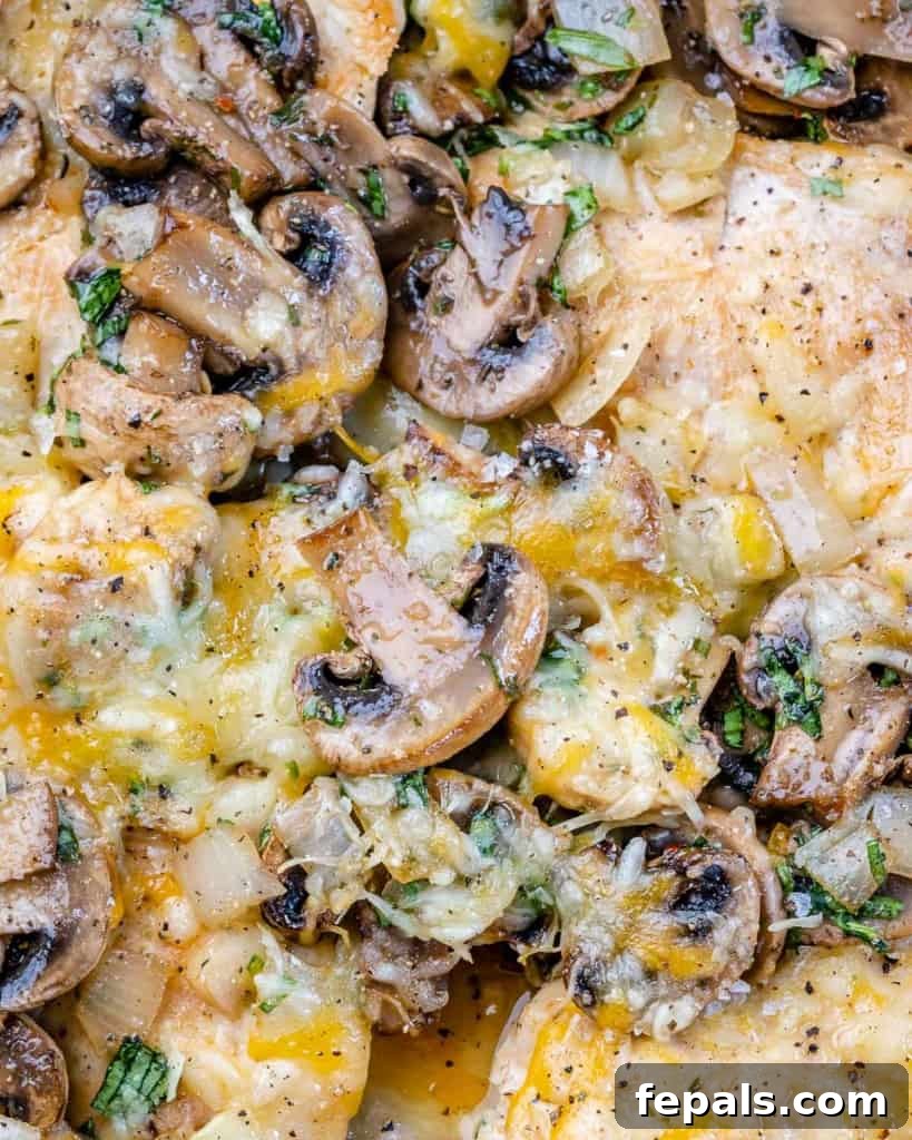 close up chicken and mushroom with melted cheese