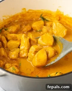 spoon spooning some chicken curry from pot