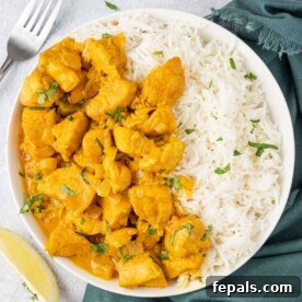 chicken curry with rice on a white plate.