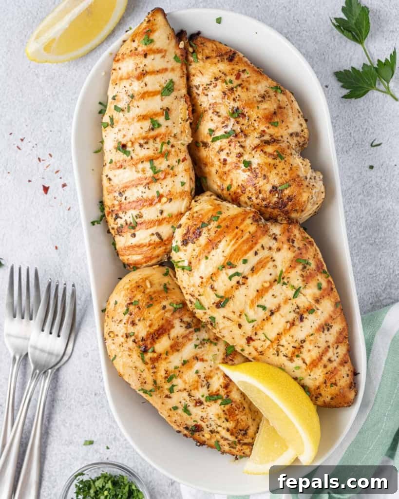 Juicy Italian Grilled Chicken Breasts 2 Top-down view of perfectly grilled Italian chicken breasts, golden brown and ready to serve.