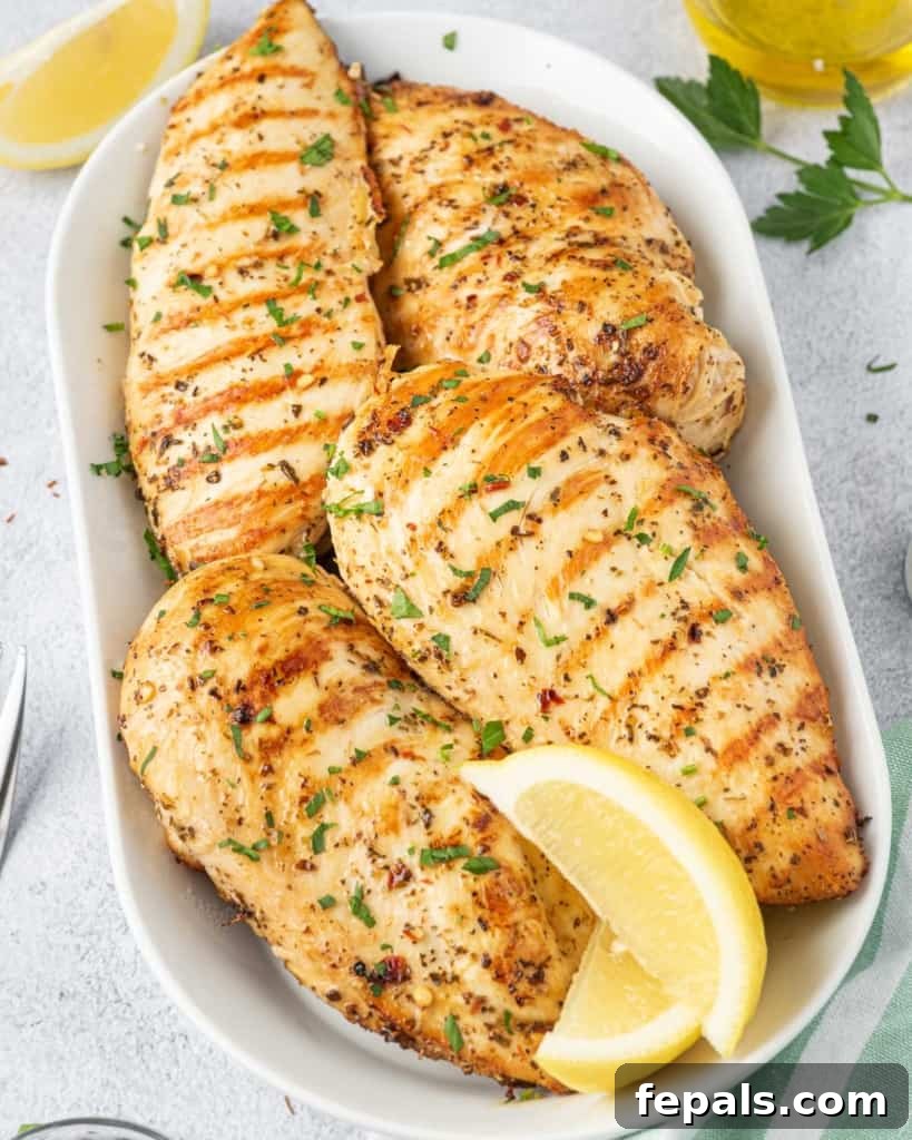 Juicy Italian Grilled Chicken Breasts 12 Close-up of a whole grilled Italian chicken breast resting on a pristine white dish, showcasing its golden-brown crust.