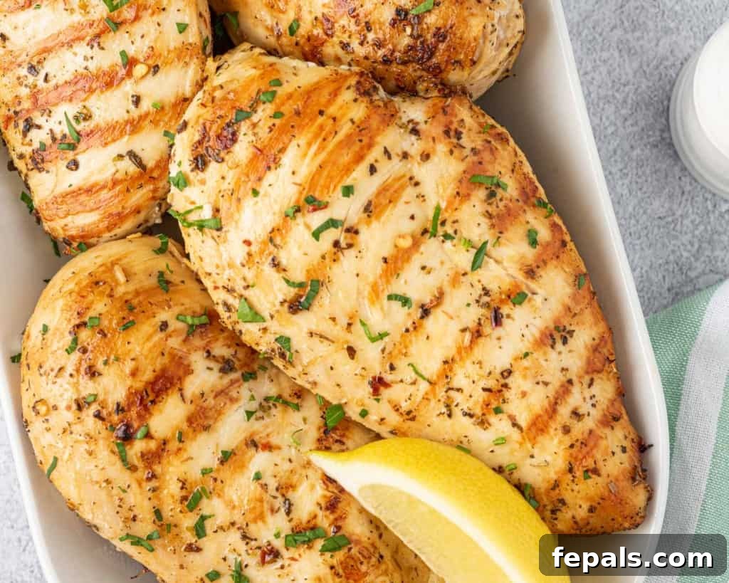 Juicy Italian Grilled Chicken Breasts 13 Close-up of a whole grilled Italian chicken breast on a plate, ready to be enjoyed.