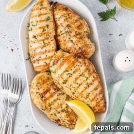 Juicy Italian Grilled Chicken Breasts 14 Top view of 4 grilled chicken breasts in a gold pan, ready to be served.
