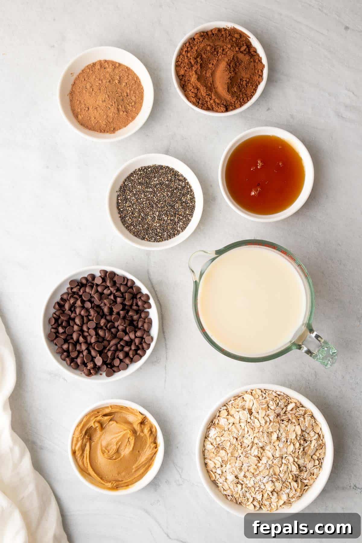 Arrangement of ingredients for chocolate peanut butter overnight oats: cocoa powder, maple syrup, chia seeds, rolled oats, dairy-free milk, peanut butter, chocolate chips, and protein powder