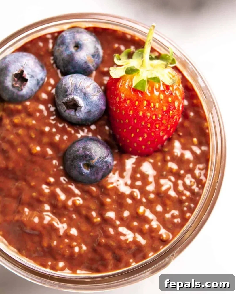 close up top view of chocolate chia pudding