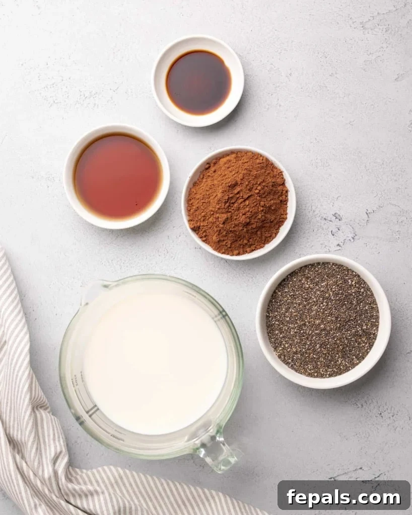 ingredients to make chocolate chia pudding