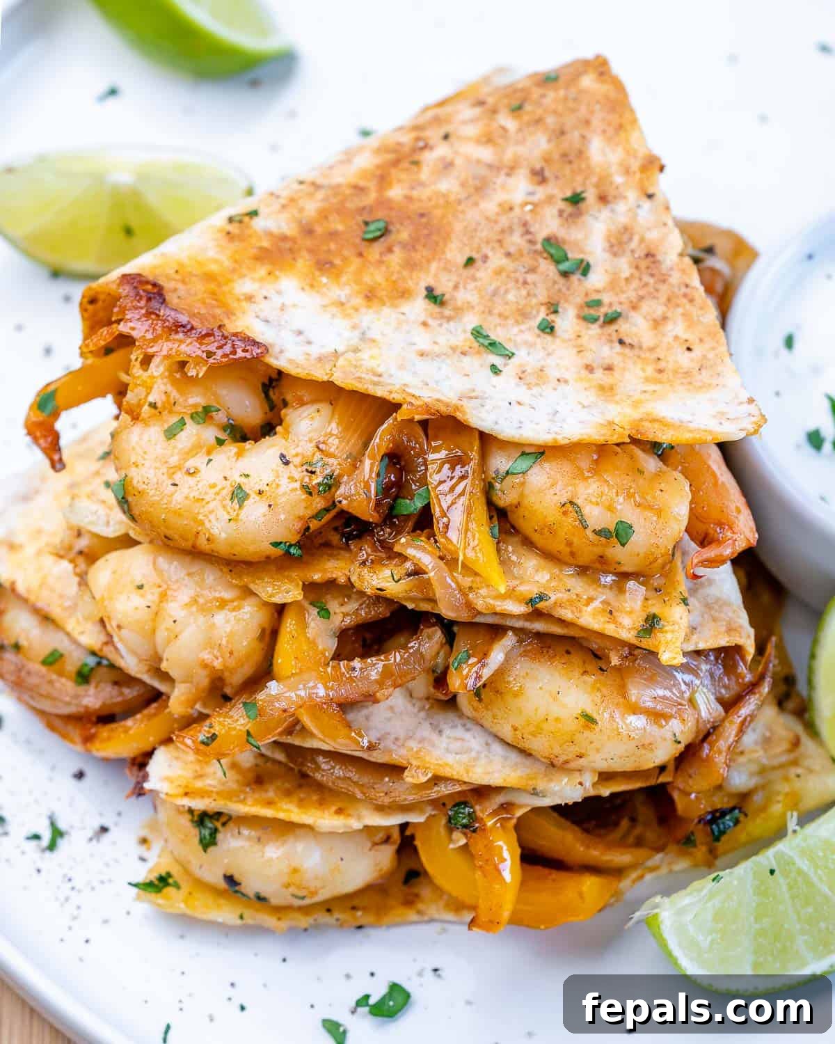 Best Healthy Shrimp Quesadilla Recipe Front view of a perfectly cooked shrimp quesadilla on a white plate, showcasing melted cheese and fresh lime wedges.