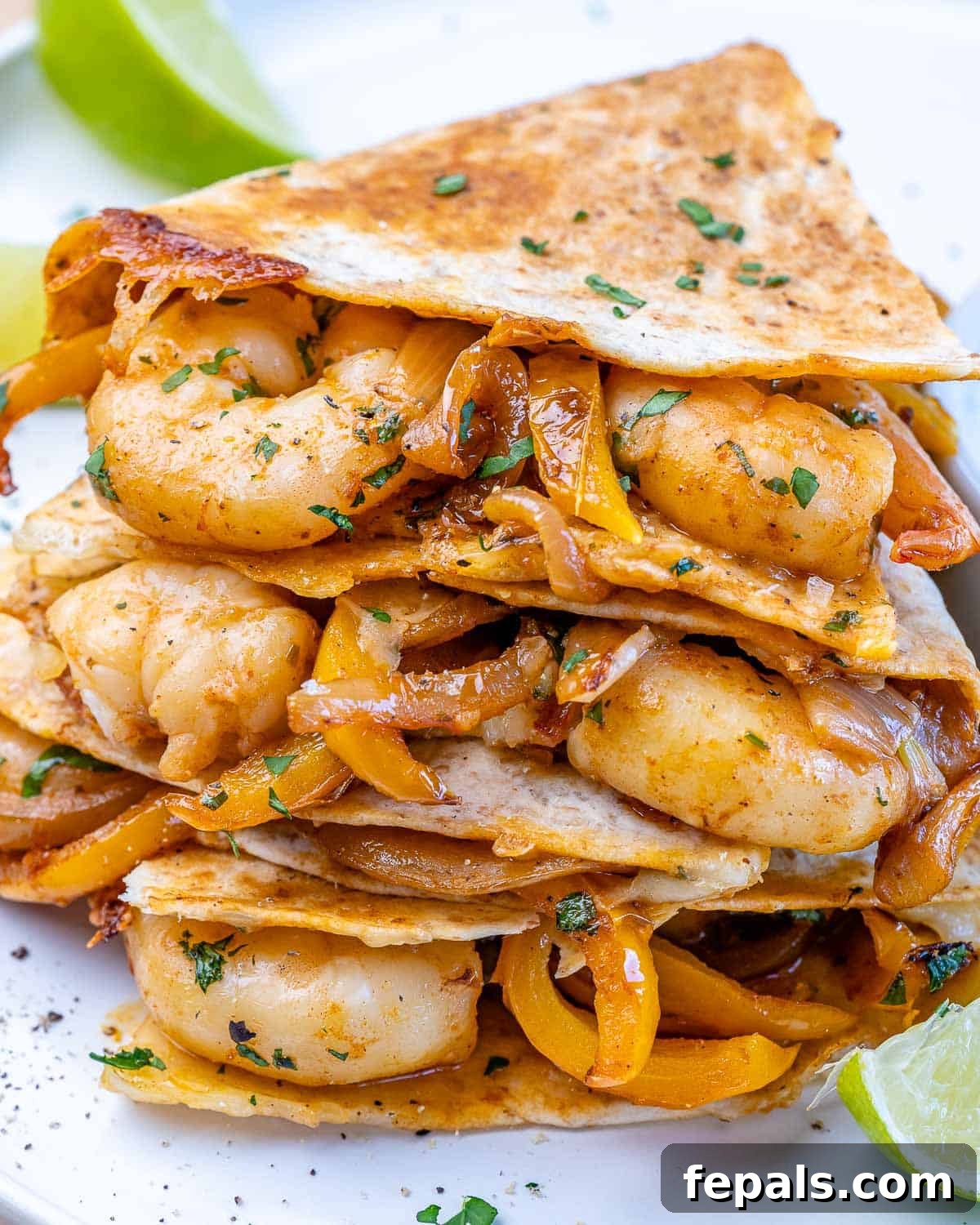Shrimp Quesadilla Recipe (Easy) front view of shrimp quesadilla recipe with parsley and cheese