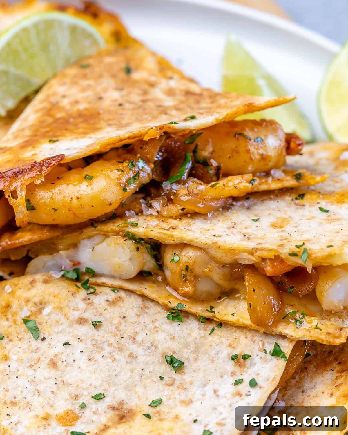 Easy Shrimp Quesadilla Recipe Details Close-up view of appetizing wedges of shrimp quesadilla, showing the cheesy, flavorful filling within.