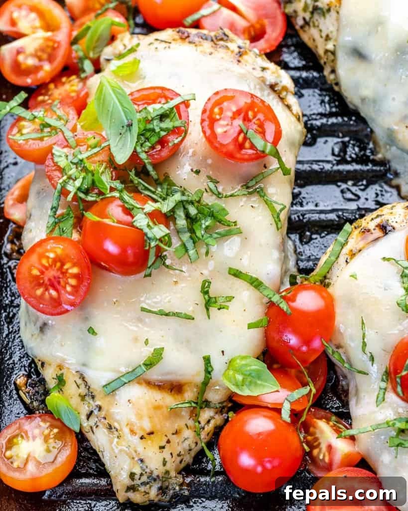 Top view of a succulent Grilled Chicken Margherita, featuring a golden-brown chicken breast generously covered with melted mozzarella, diced cherry tomatoes, and fresh basil leaves, presented beautifully on a platter.