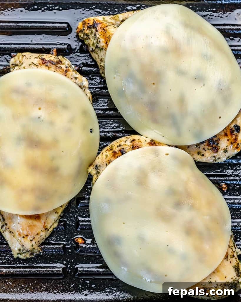 Melted mozzarella cheese perfectly covering grilled chicken breasts in a black grill pan, just before adding tomatoes and basil.