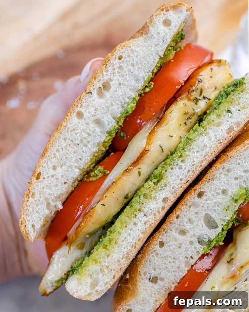 Gourmet Grilled Chicken Sandwich 11 top view of two half sandwich with tomato pesto and chicken breast