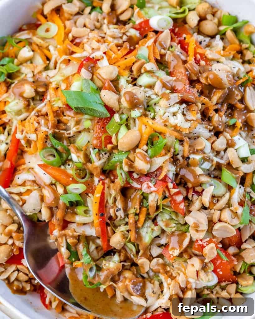 Creamy Thai Peanut Crunch 8 close up image of thai salad