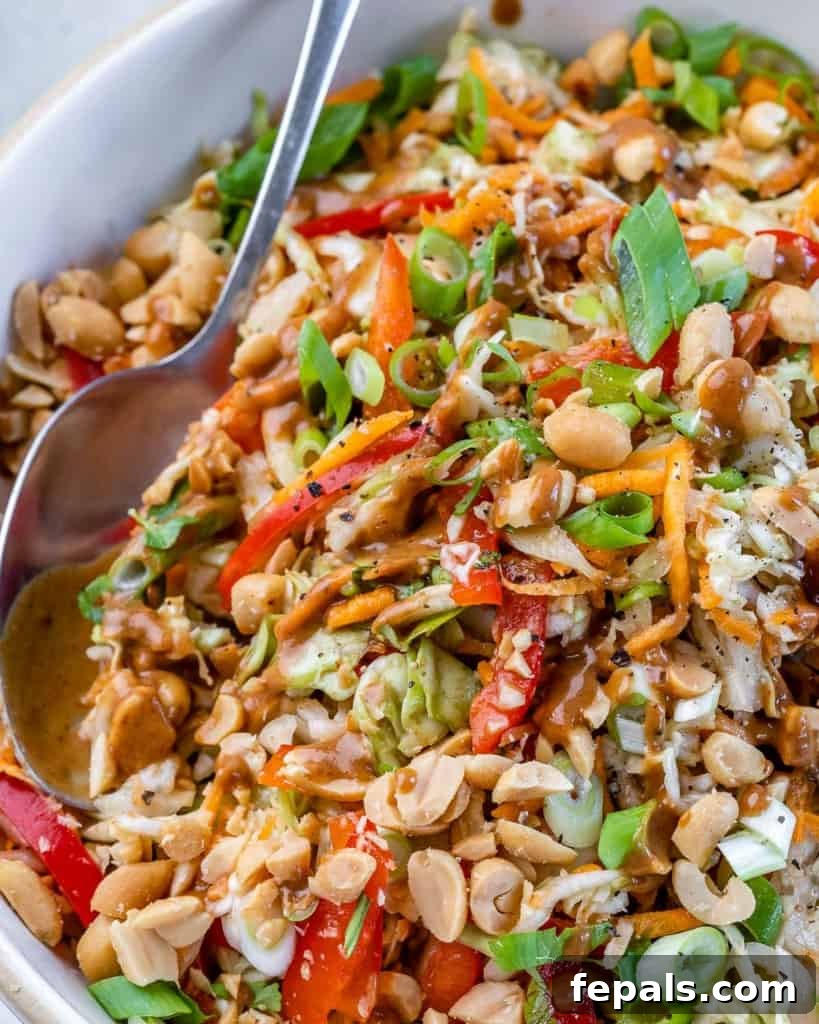 Creamy Thai Peanut Crunch 10 close up image of thai salad with spoon in bowl