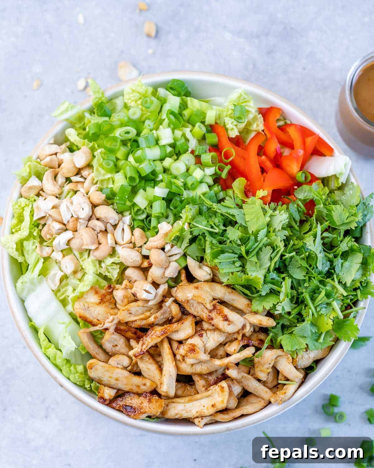 A large bowl filled with crisp Chinese cabbage, vibrant bell pepper, fresh cilantro, green onions, and cashews, with cooked sliced chicken resting on top, awaiting dressing.