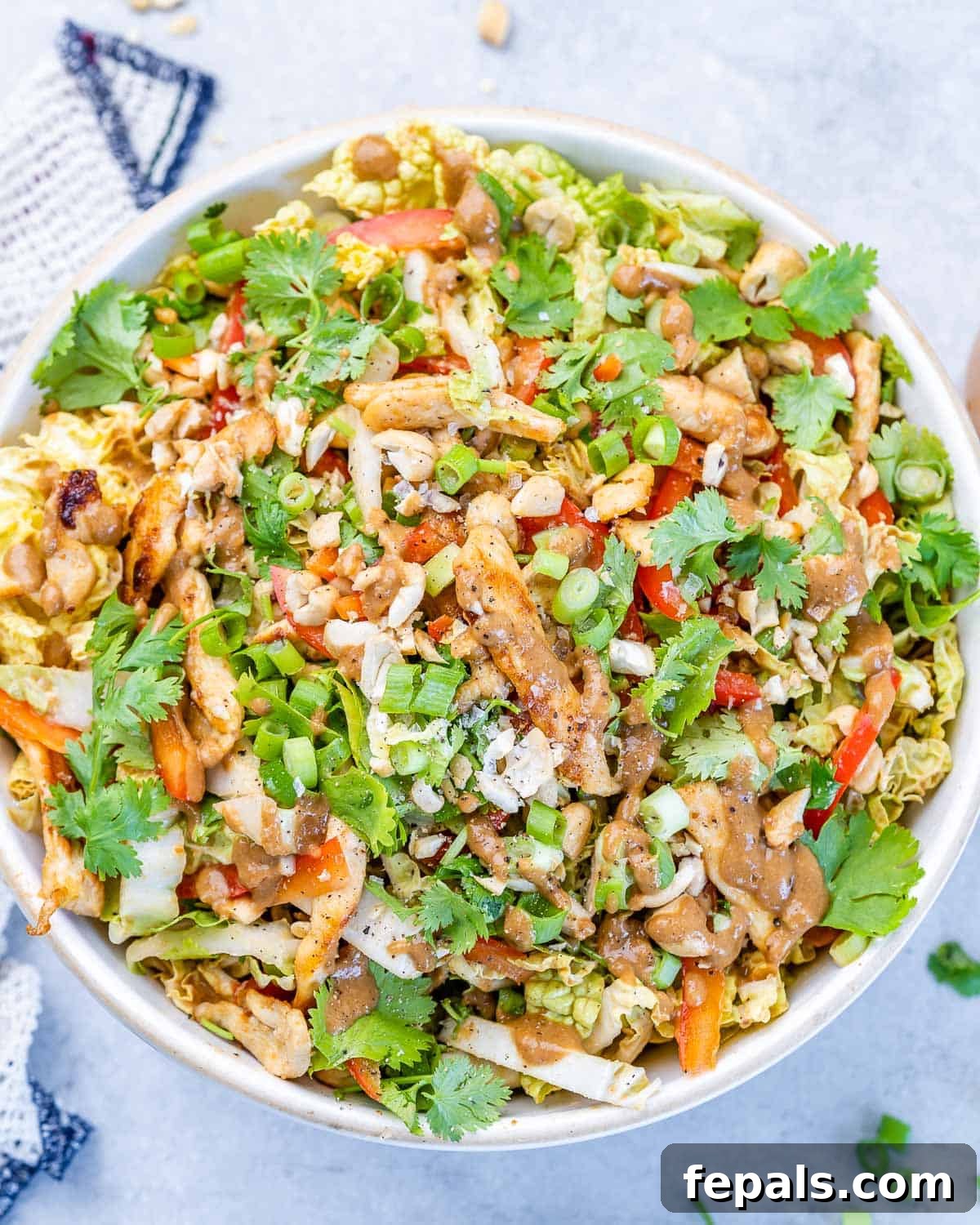 A perfectly portioned bowl of Chinese chicken salad, showcasing the delightful mix of tender chicken, colorful vegetables, and rich sesame dressing.