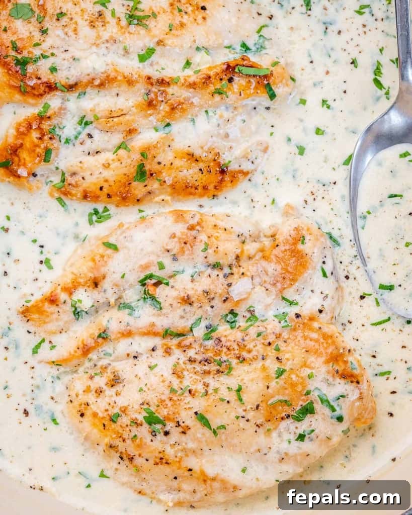 Ultimate Creamy Garlic Chicken Skillet 3 A beautiful top-down view of golden-brown chicken breasts nestled in a rich, white creamy garlic sauce, garnished with fresh green herbs.