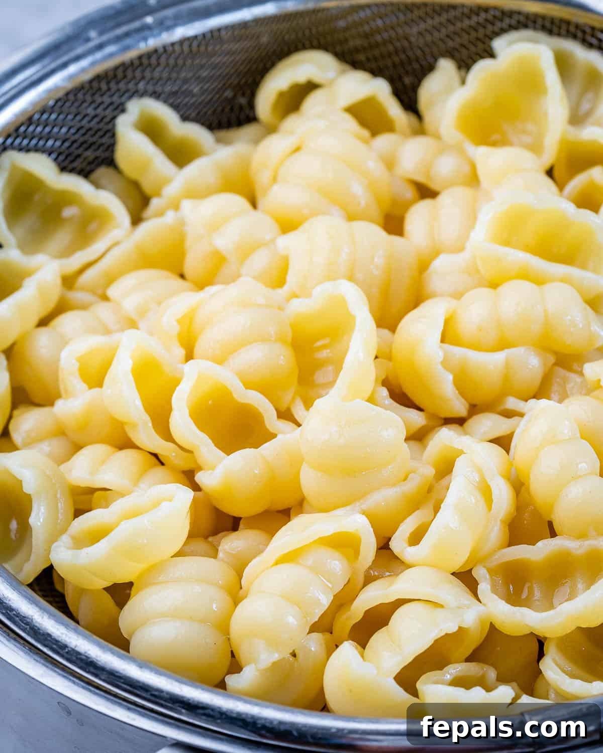 cooked pasta in mesh container