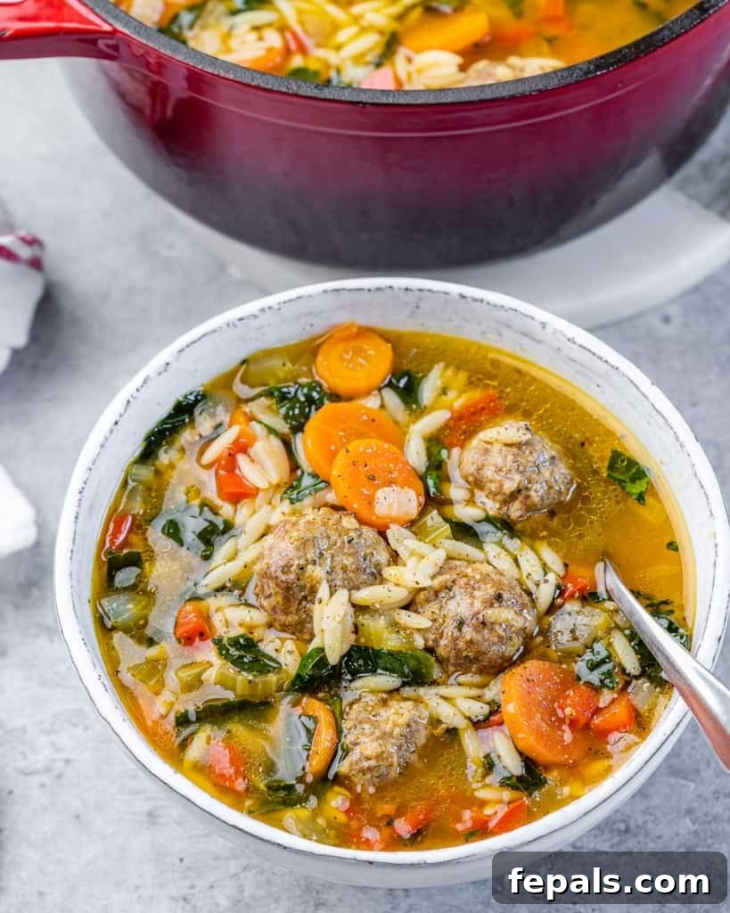 Nonna's Italian Wedding Soup 10 White bowl filled with Italian wedding soup near the pot of soup.