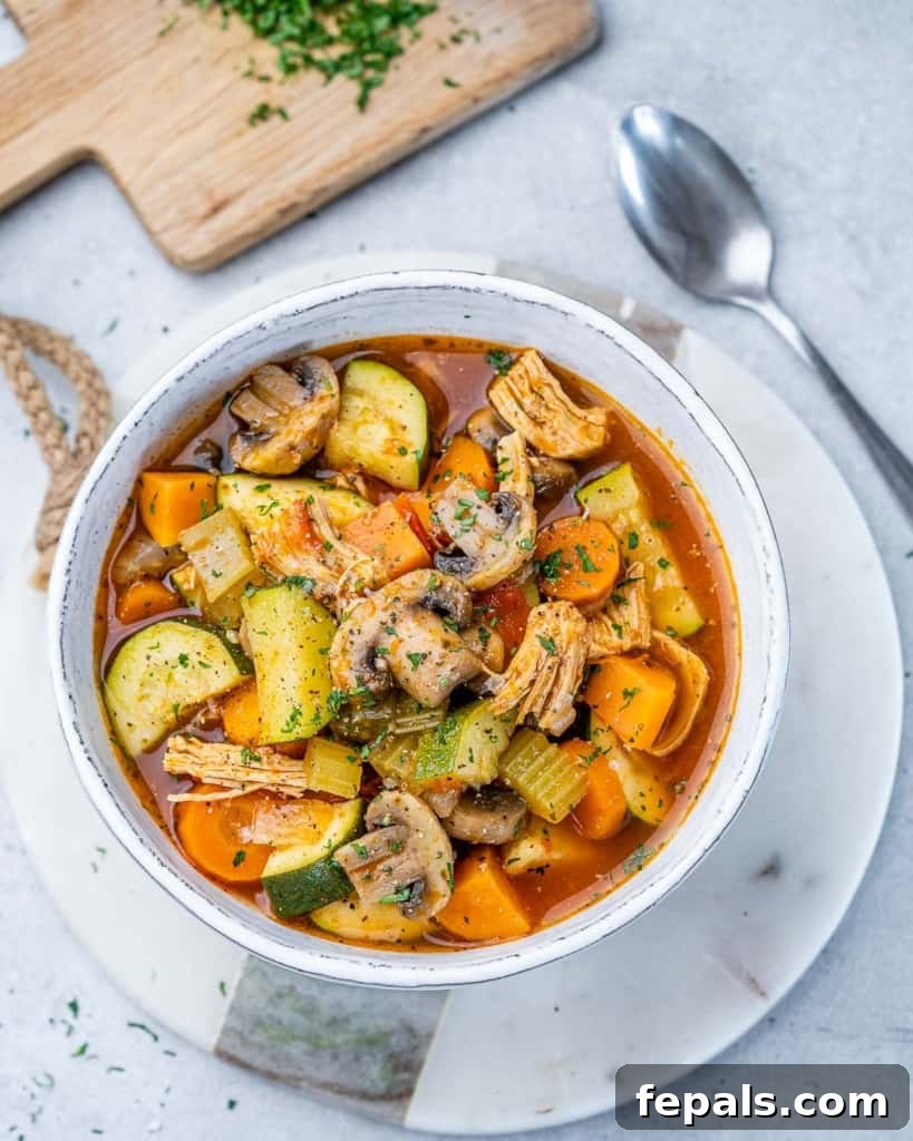 Hearty Chicken and Garden Vegetable Soup 7 top view of a bowl of chicken vegetable soup, richly garnished.
