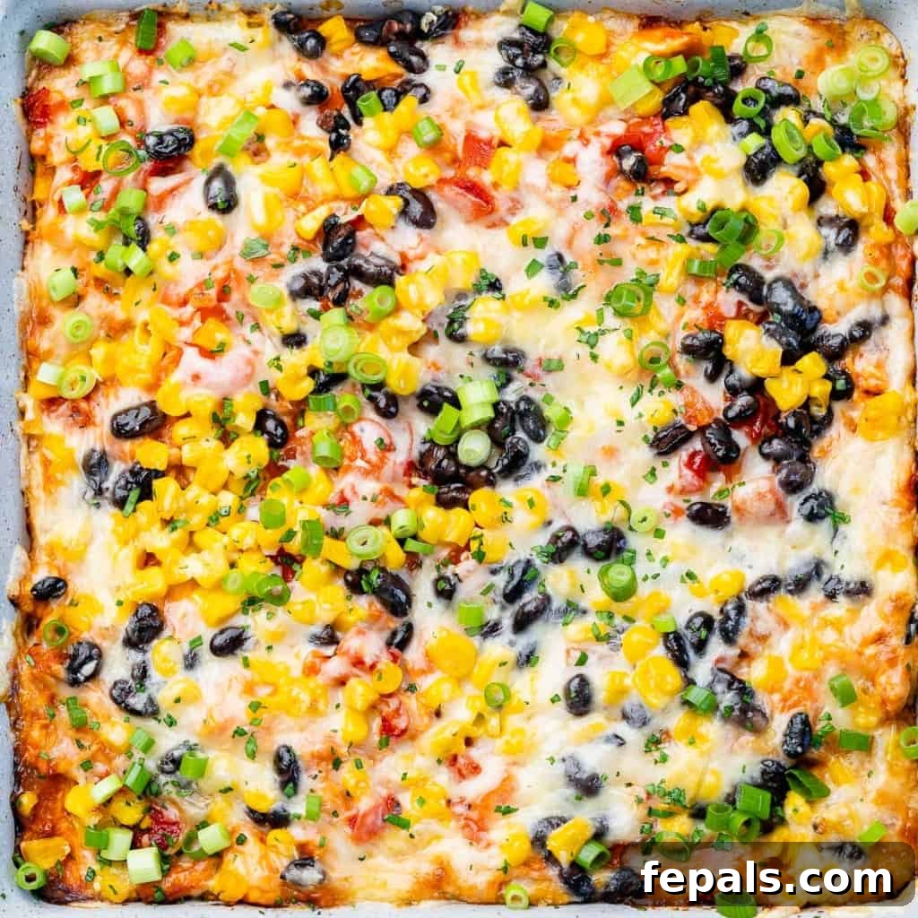 close up of chicken enchilada casserole