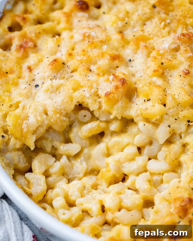 Close-up view of baked macaroni and cheese in a white oval dish, showing the creamy texture and melted cheese.