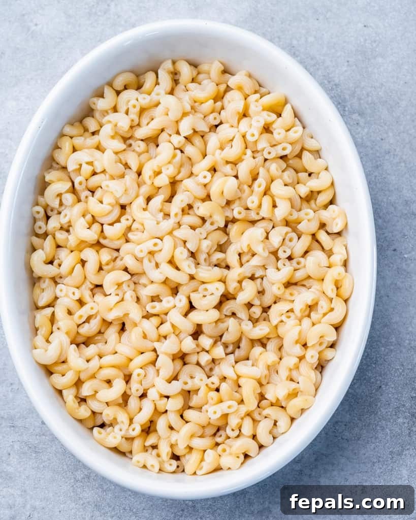 Cooked elbow macaroni noodles in a white baking dish, ready for sauce.