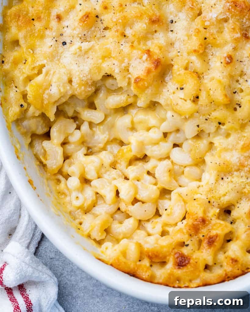 Top view of a serving of baked mac and cheese in a white dish, ready for dining.