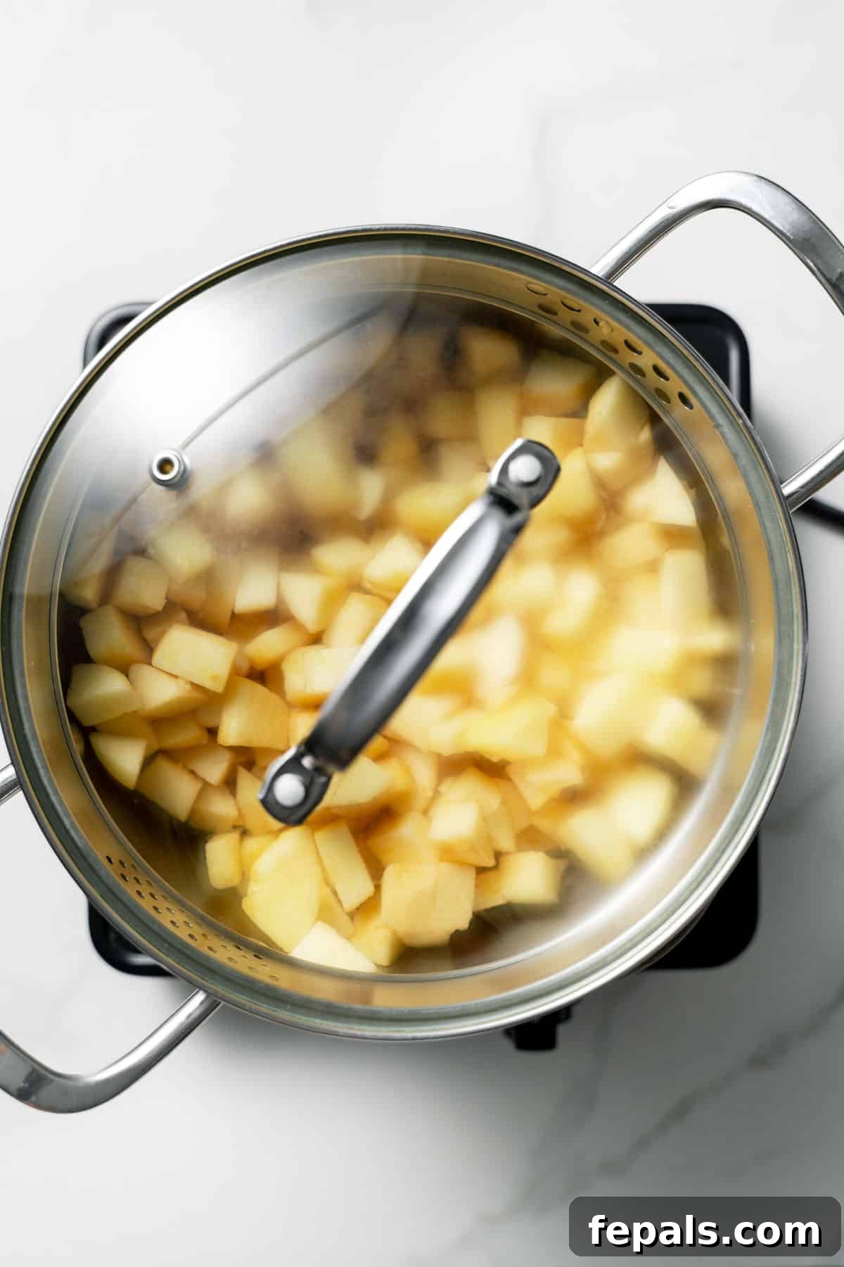 covering pot with apples with a lid 