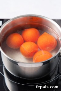 one pot of boiling hot water with tomatoes