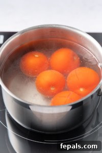 one pot of boiling water with tomatoes