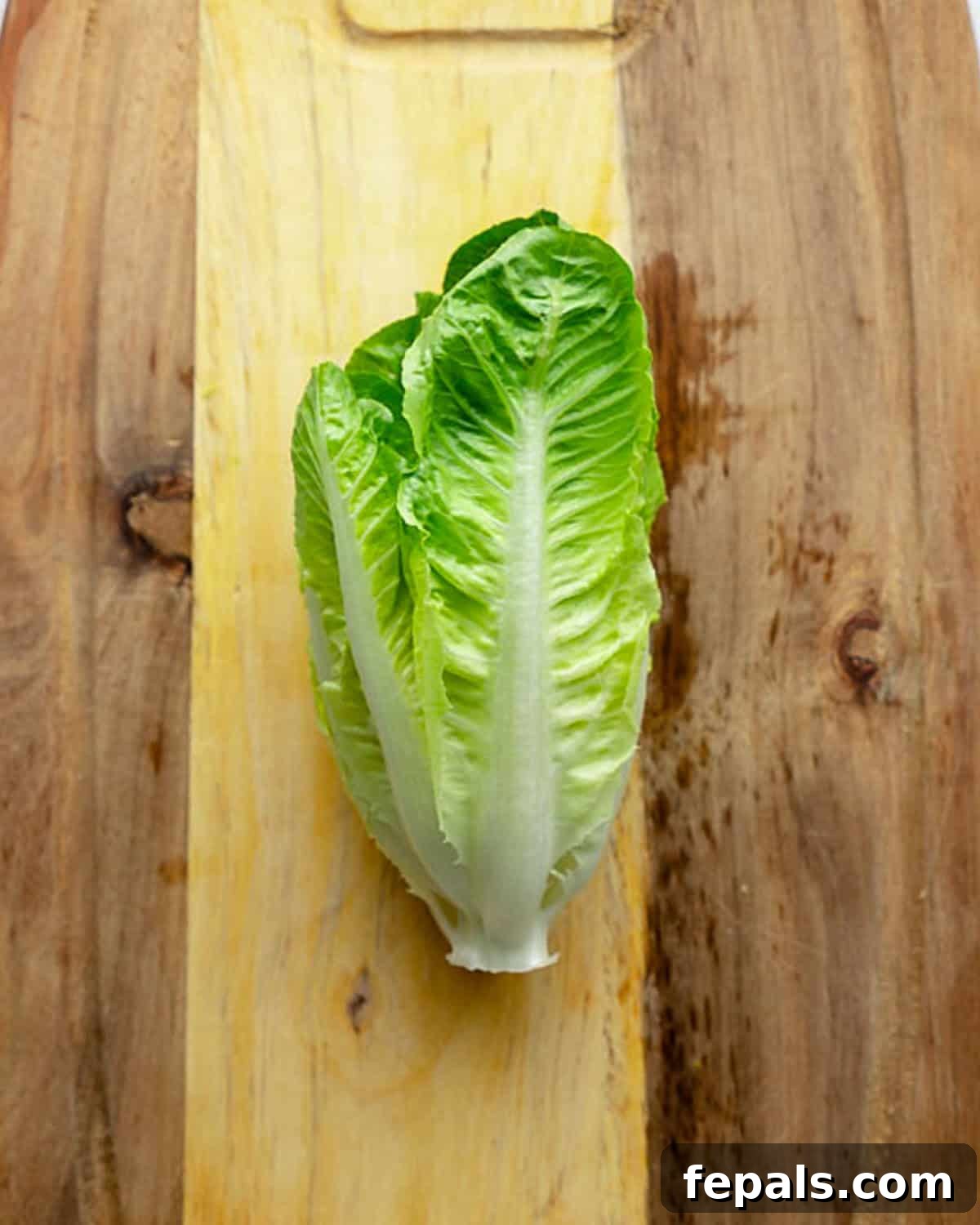 A whole, fresh head of romaine lettuce resting on a wooden cutting board, ready for preparation.
